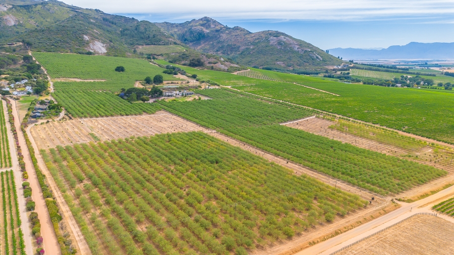 4 Bedroom Property for Sale in Paarl Rural Western Cape